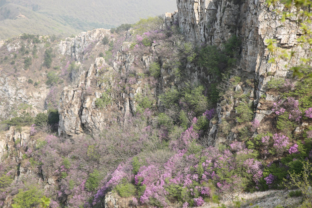 首页| w66集团中国最老牌官方网站